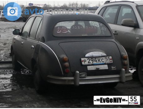 р294кс55, Mitsuoka Viewt
