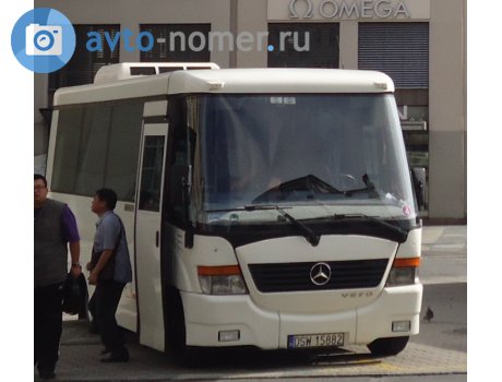 DSW 15882, Jelcz T081MB
