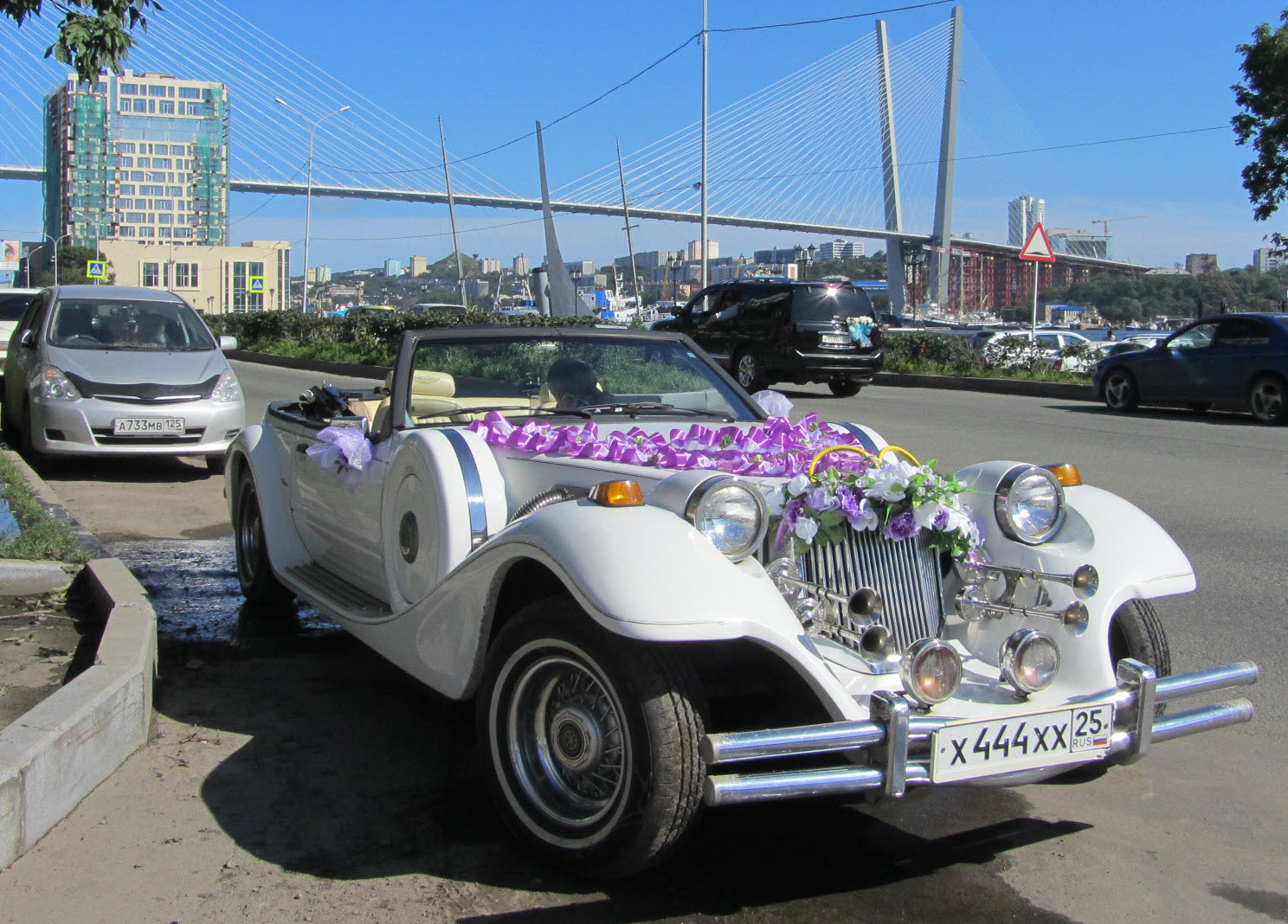 х 444 хх 25, Mitsuoka Dore 