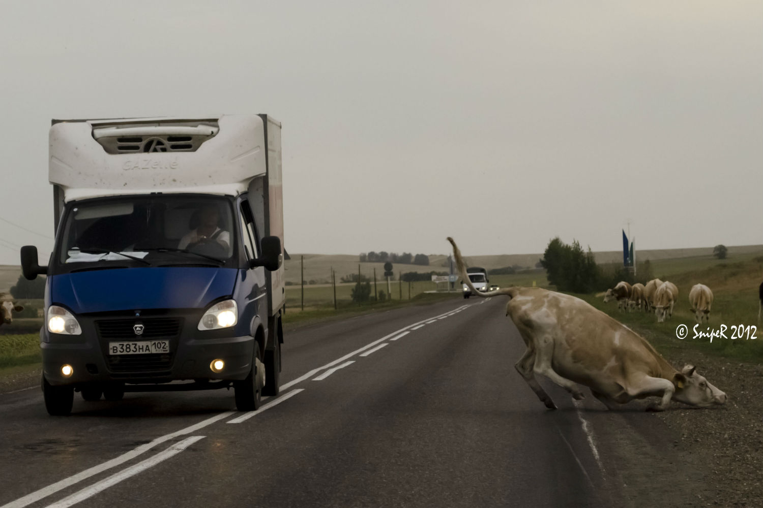 в 383 на 102, GAZ 3302 ГАЗель 2-3302 Single Cab, facelift, 2003–