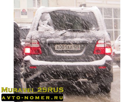 а001аа125, Toyota Land Cruiser