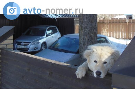 о944ет98, Volkswagen Tiguan
