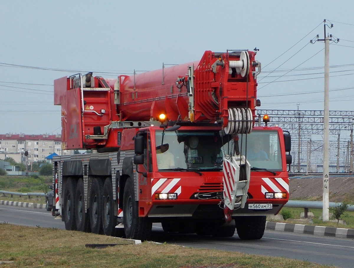 Автокран воронеж. Demag 200. Demag 200 т. Кран Terex 200. Demag AC 265tt Гак.