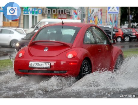 в800ом177, Volkswagen Beetle