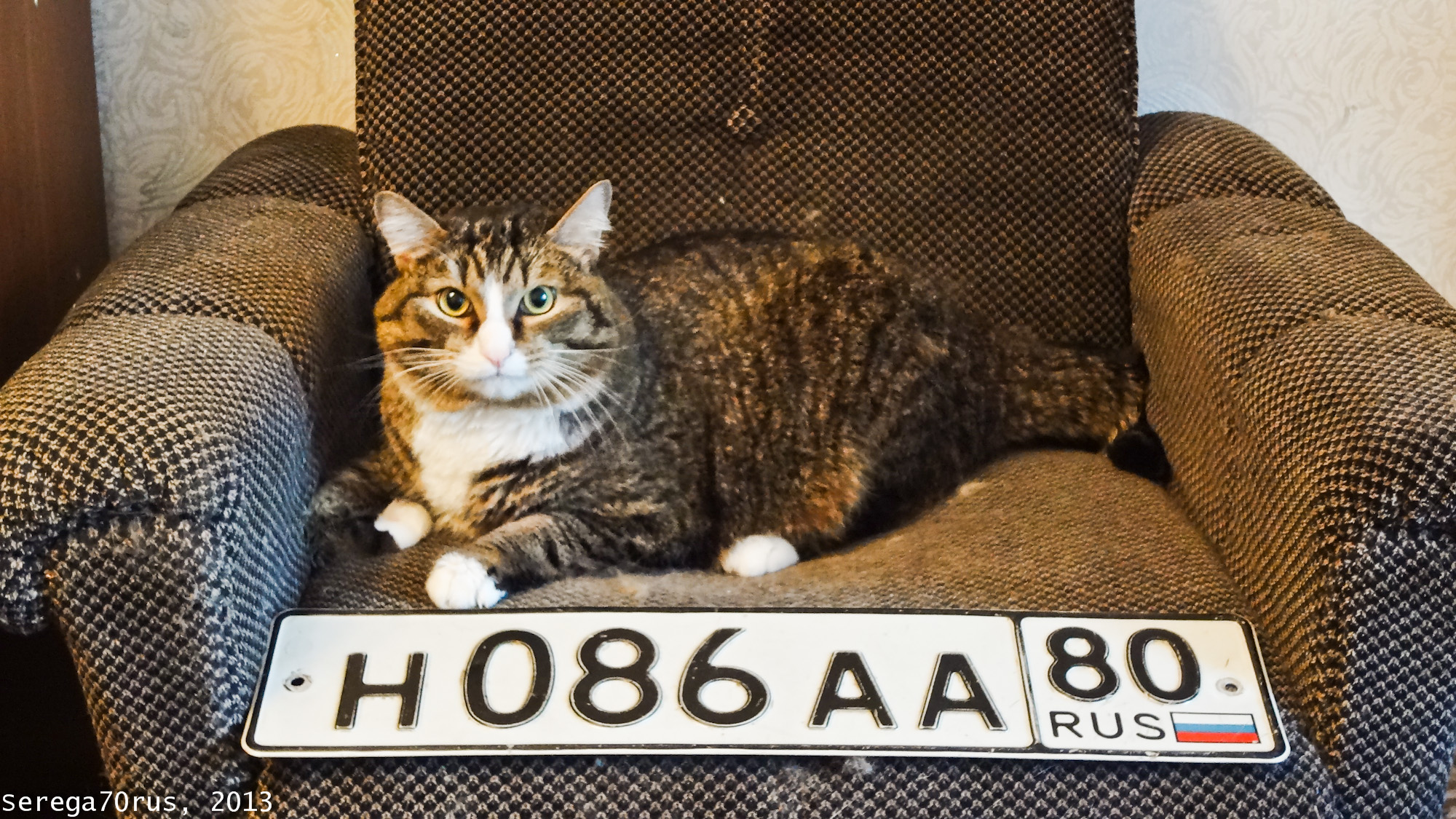 н 086 аа 80, License plate without vehicle 