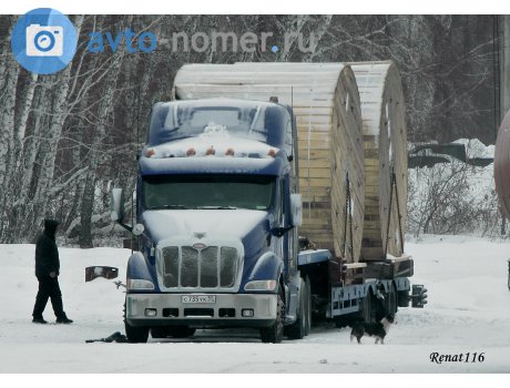 с735ук55, Peterbilt 387