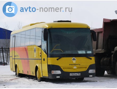 х562ав186, SOR LH10.5