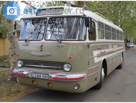 GWW-888, Ikarus 55