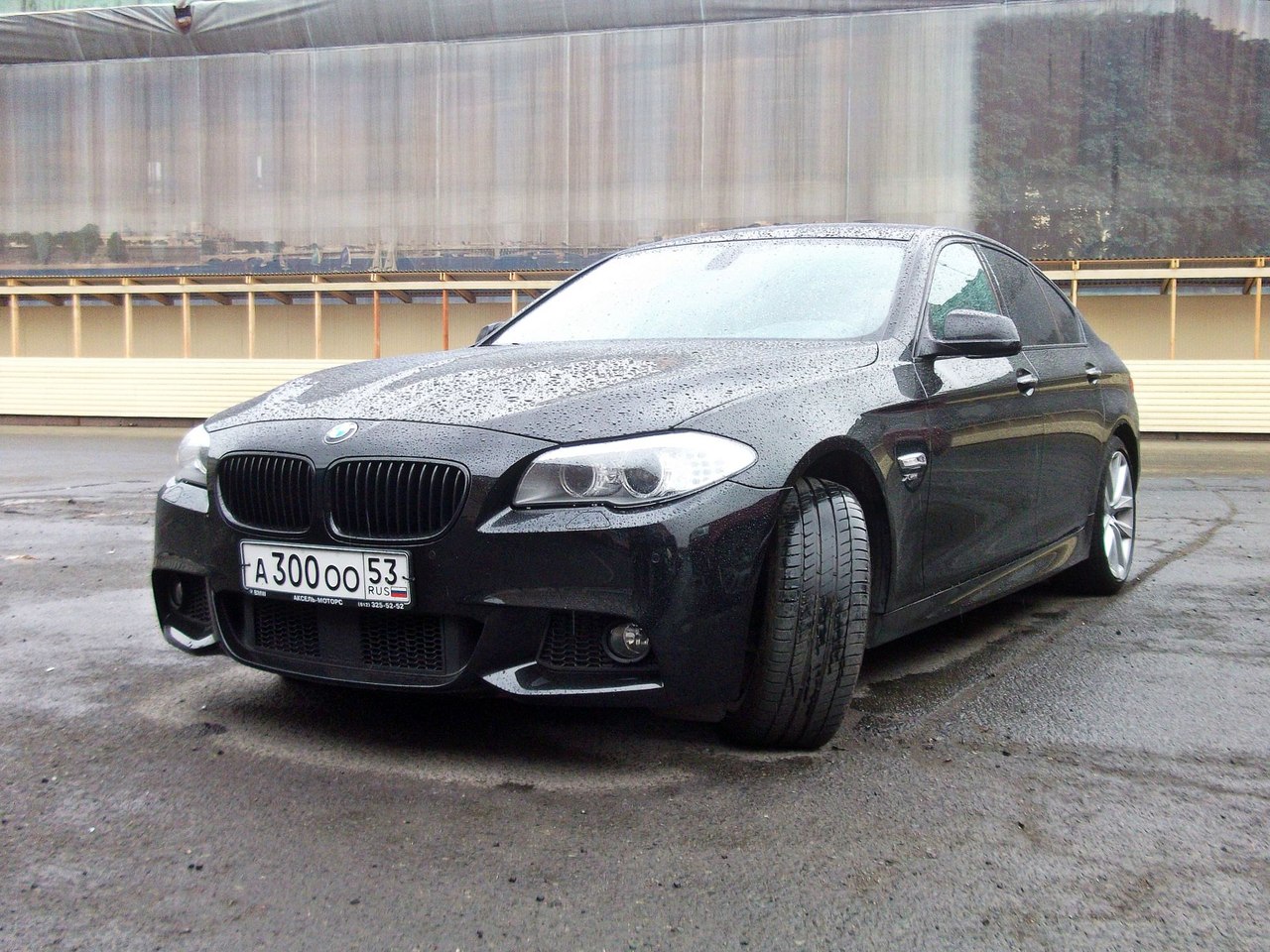 Телефон 53 региона. BMW 53. БМВ 300. А005оо53. BMW 588.