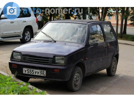 у555уу02, Lada (VAZ) 1111 Ока
