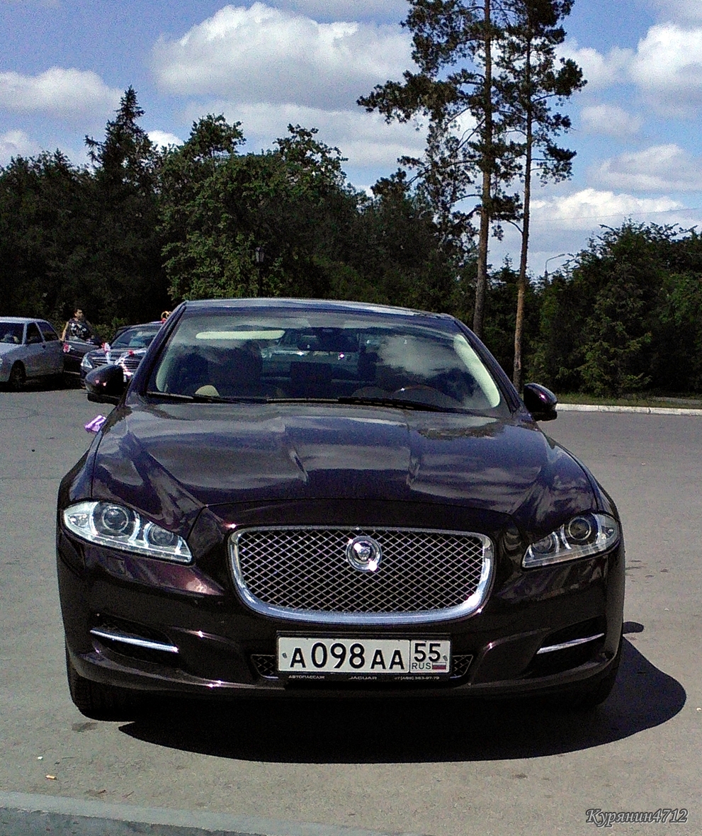 Ягуар Купить В России Цена