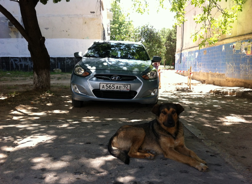 а 565 ае 92, Hyundai Accent 4th gen Sedan (RB), 2010–2019