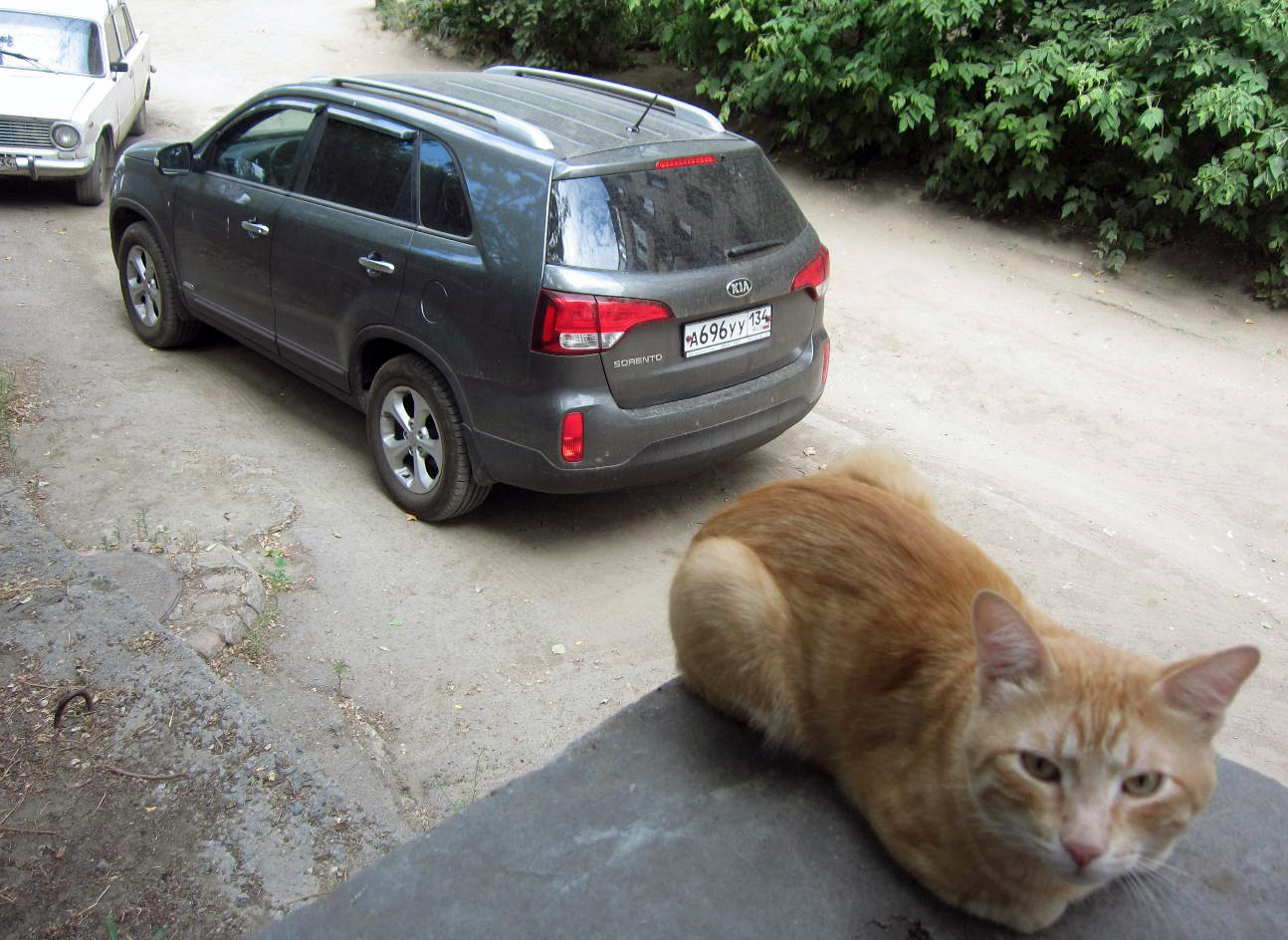 а 696 уу 134, Kia Sorento 2nd gen (XM), facelift, 2012–2015 (­–2020 for CIS-market)